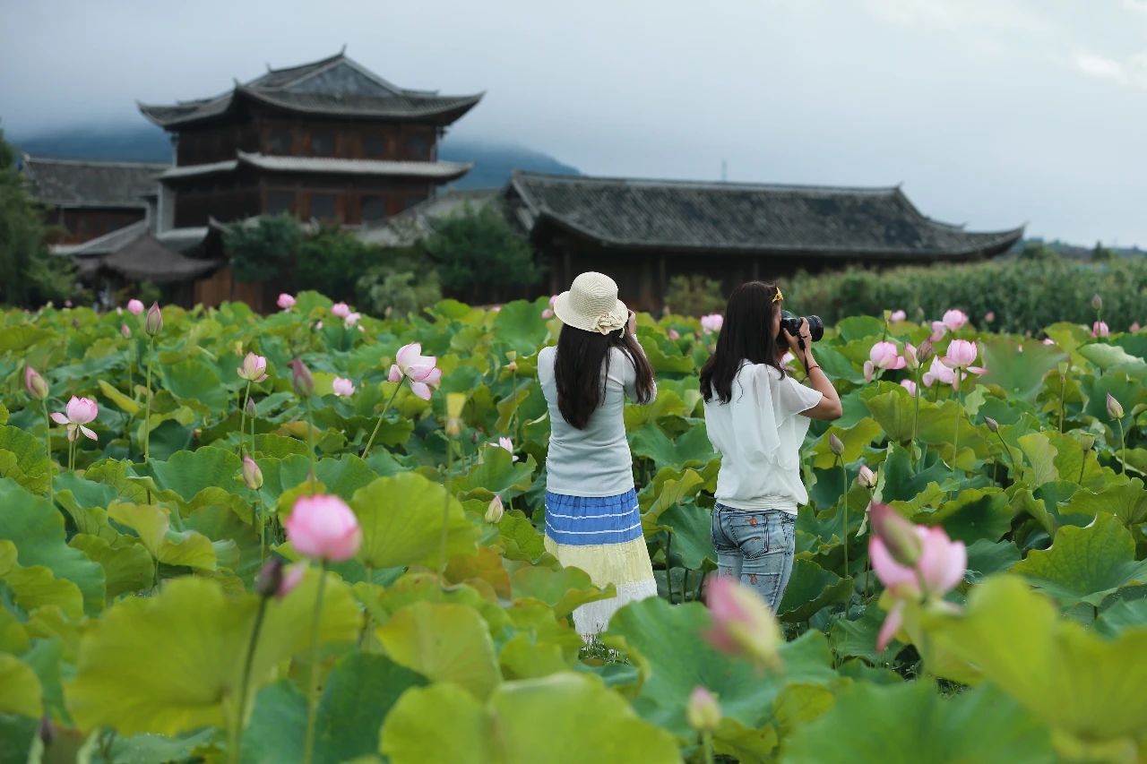 2020暑期?騰沖研學(xué)：打卡邊境小城，與自然對話(huà)！