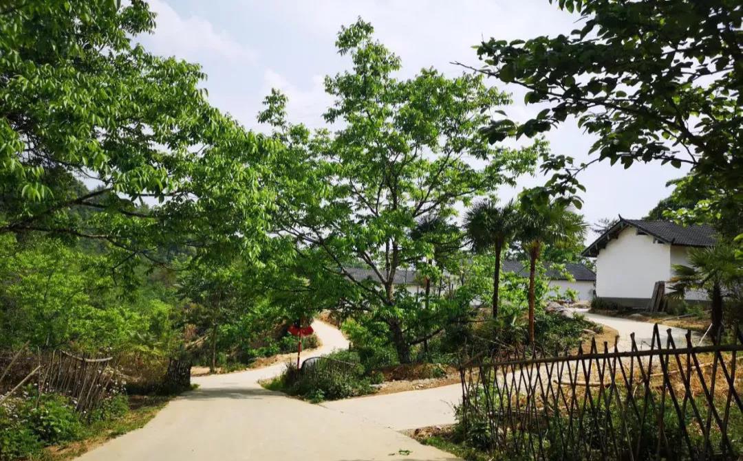 云南鄉村旅游，“玩”出特色！德宏：打好發(fā)展組合拳