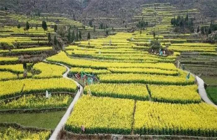 鄉村旅游 鄉村旅游
