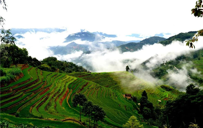 紅河旅游  打卡夏日元陽(yáng)哈尼梯田，暢游綠色仙境