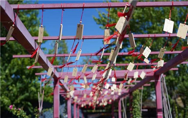 賞花親水、荷塘野趣……楚雄東華濕地公園許你一個(gè)繽紛夏日