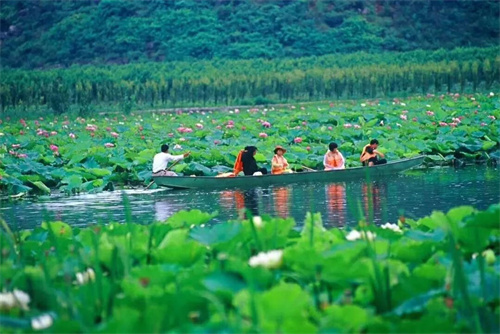 2022普者黑夏令營(yíng)：山水田園，萬(wàn)畝荷花游學(xué)，探訪(fǎng)彝族古村，感知民族文化！