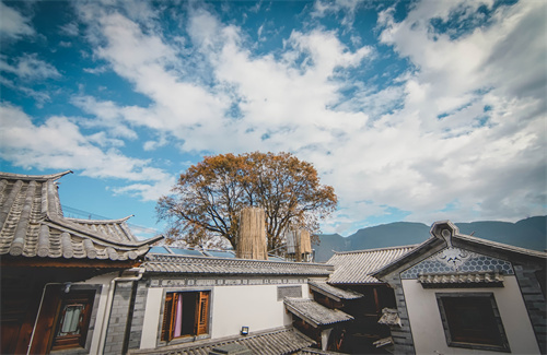 春節云南特輯 | 人少景美！春節云南旅游線(xiàn)路推薦三