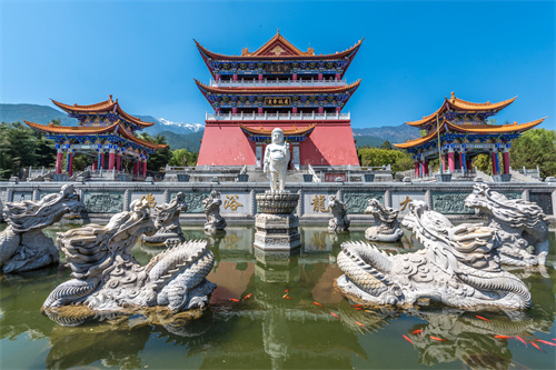 陽(yáng)春三月去大理蒼山西坡，看人間最美的杜鵑花！