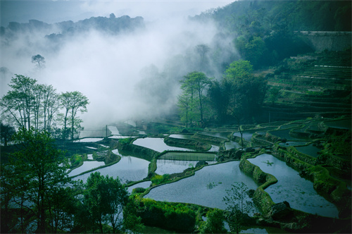 鄉村健康養生產(chǎn)業(yè)的客戶(hù)群體有哪些？它有什么開(kāi)發(fā)要點(diǎn)？