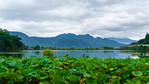 參加夏令營(yíng)有哪些好處 夏令營(yíng)對孩子的成長(cháng)有哪些幫助